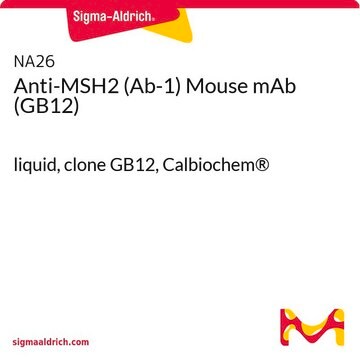 Anti-MSH2 (Ab-1) Mouse mAb (GB12) liquid, clone GB12, Calbiochem&#174;