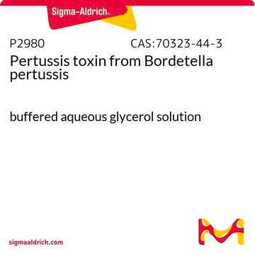 Pertussis toxin from Bordetella pertussis buffered aqueous glycerol solution