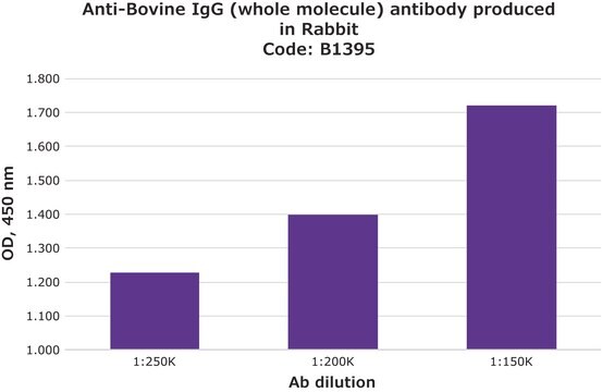 Anti-Bovine IgG (whole molecule) antibody produced in rabbit IgG fraction of antiserum, buffered aqueous solution