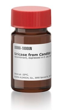 Uricase from Candida sp. recombinant, expressed in E. coli, lyophilized powder, &#8805;2&#160;units/mg solid