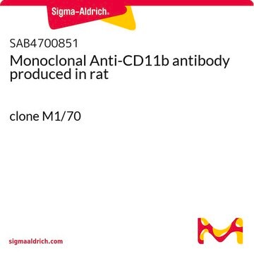 Monoclonal Anti-CD11b antibody produced in rat clone M1/70