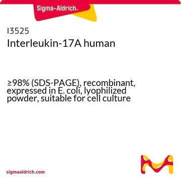 Interleukin-17A human &#8805;98% (SDS-PAGE), recombinant, expressed in E. coli, lyophilized powder, suitable for cell culture