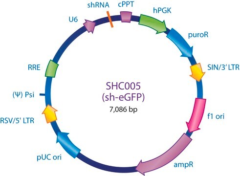 MISSION&#174; eGFP shRNAコントロールトランスダクション粒子 shRNA sequence targeting eGFP