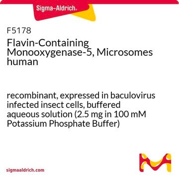 Flavin-Containing Monooxygenase-5, Microsomes human recombinant, expressed in baculovirus infected insect cells, buffered aqueous solution (2.5 mg in 100 mM Potassium Phosphate Buffer)