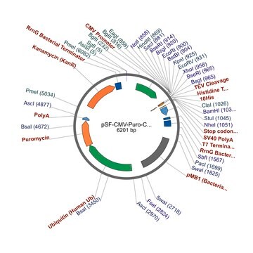 PSF-CMV-PURO-COOH-TEV-10HIS - C-TERMINAL 10HIS TAG MAMMALIAN PLASMID plasmid vector for molecular cloning