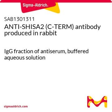 ANTI-SHISA2 (C-TERM) antibody produced in rabbit IgG fraction of antiserum, buffered aqueous solution