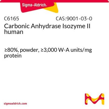 Carbonic Anhydrase Isozyme II human &#8805;80%, powder, &#8805;3,000&#160;W-A units/mg protein