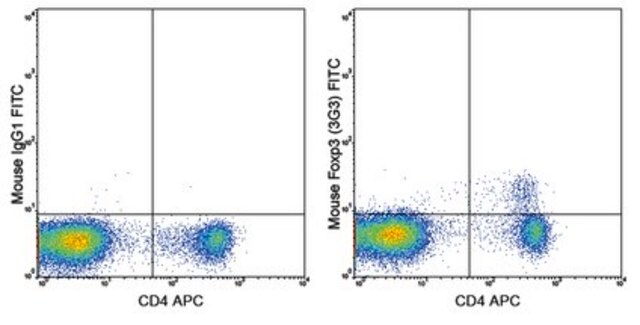 Anti-Foxp3 Antibody (mouse), FITC, clone 3G3 clone 3G3, 0.5&#160;mg/mL, from mouse