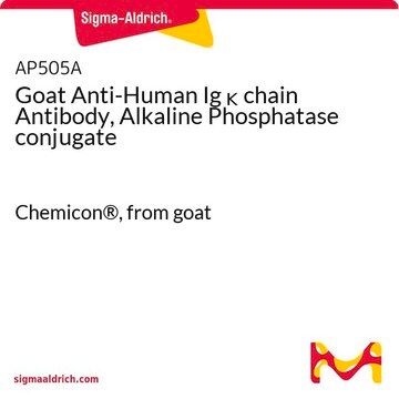 Goat Anti-Human Ig &#954; chain Antibody, Alkaline Phosphatase conjugate Chemicon&#174;, from goat