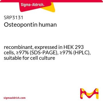 Osteopontin human recombinant, expressed in HEK 293 cells, &#8805;97% (SDS-PAGE), &#8805;97% (HPLC), suitable for cell culture