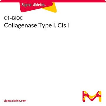 Collagenase Type I, Cls I