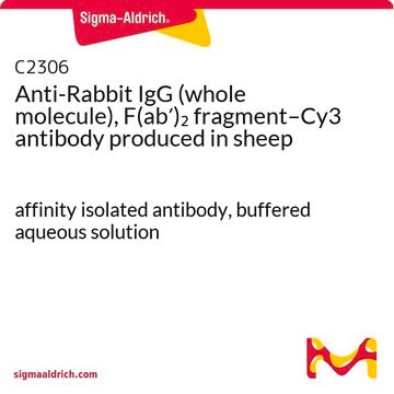 抗ウサギIgG (全分子), F(ab&#8242;)2 フラグメント–Cy3 ヒツジ宿主抗体 affinity isolated antibody, buffered aqueous solution