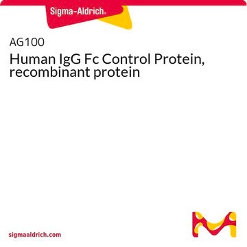 Human IgG Fc Control Protein, recombinant protein