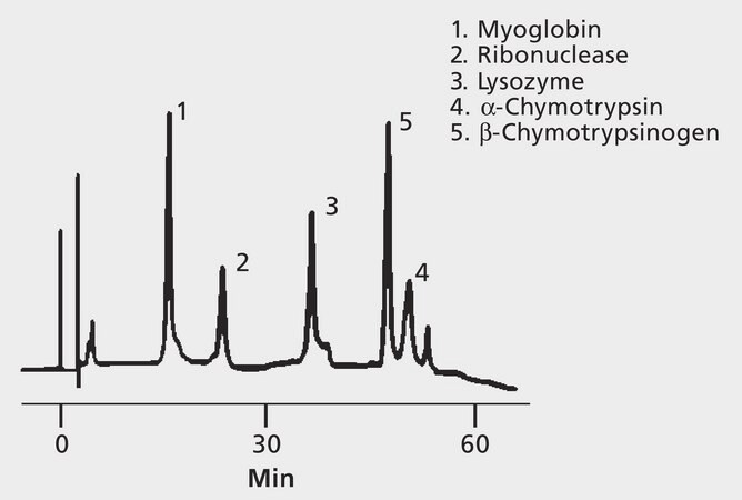 HPLC Analysis of Proteins on TSKgel&#174; Phenyl-5PW application for HPLC