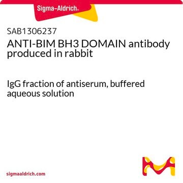 ANTI-BIM BH3 DOMAIN antibody produced in rabbit IgG fraction of antiserum, buffered aqueous solution