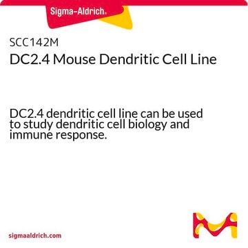 DC2.4 Mouse Dendritic Cell Line DC2.4 dendritic cell line can be used to study dendritic cell biology and immune response.