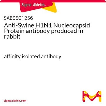 Anti-Swine H1N1 Nucleocapsid Protein antibody produced in rabbit affinity isolated antibody