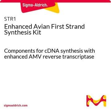 Enhanced Avian First Strand Synthesis Kit Components for cDNA synthesis with enhanced AMV reverse transcriptase