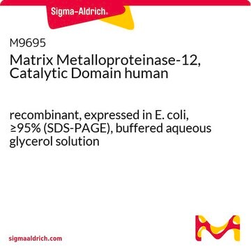 Matrix Metalloproteinase-12, Catalytic Domain human recombinant, expressed in E. coli, &#8805;95% (SDS-PAGE), buffered aqueous glycerol solution