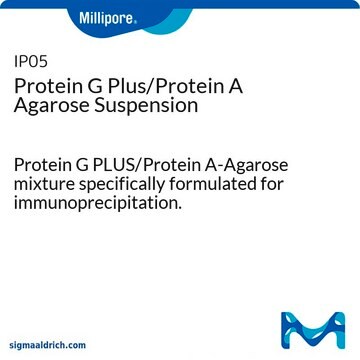 Protein G Plus/Protein A Agarose Suspension Protein G PLUS/Protein A-Agarose mixture specifically formulated for immunoprecipitation.