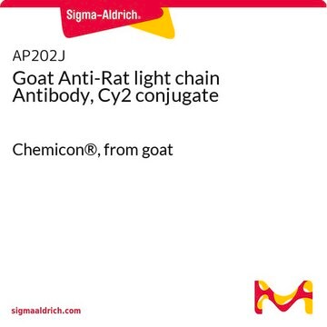 Goat Anti-Rat light chain Antibody, Cy2 conjugate Chemicon&#174;, from goat