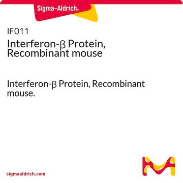 Interferon-&#946; Protein, Recombinant mouse Interferon-&#946; Protein, Recombinant mouse.