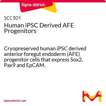 Human iPSC Derived AFE Progenitors Cryopreserved human iPSC derived anterior foregut endoderm (AFE) progenitor cells that express Sox2, Pax9 and EpCAM.