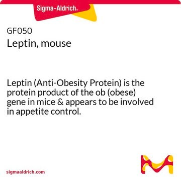 Leptin, mouse Leptin (Anti-Obesity Protein) is the protein product of the ob (obese) gene in mice &amp; appears to be involved in appetite control.