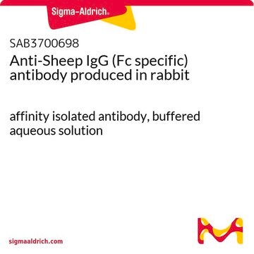 Anti-Sheep IgG (Fc specific) antibody produced in rabbit affinity isolated antibody, buffered aqueous solution