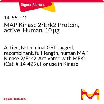 MAP Kinase 2/Erk2 Protein, active, Human, 10 &#181;g Active, N-terminal GST tagged, recombinant, full-length, human MAP Kinase 2/Erk2. Activated with MEK1 (Cat. # 14-429). For use in Kinase Assays.