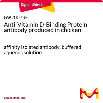 Anti-Vitamin D-Binding Protein antibody produced in chicken affinity isolated antibody, buffered aqueous solution