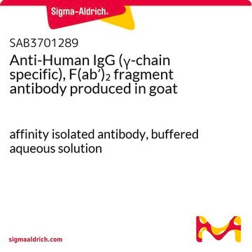 Anti-Human IgG (&#947;-chain specific), F(ab&#8242;)2 fragment antibody produced in goat affinity isolated antibody, buffered aqueous solution