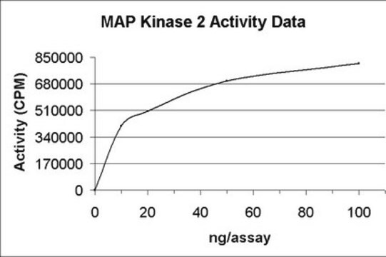 MAP Kinase 2/Erk2 Protein, active, mouse, 10 &#181;g Active, N-terminal GST-tagged, recombinant MAP Kinase 2, expressed in E. coli cells, activated using MEK1 (Catalog #14-429). For use in Kinase Assays.