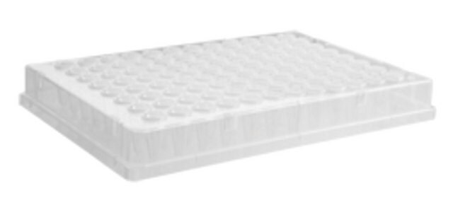 PCR microplate, full skirt size 96&#160;wells, conical bottom clear polypropylene wells, pkg of 5x10plates/cs