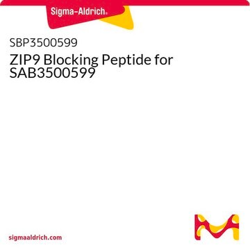 ZIP9 Blocking Peptide for SAB3500599