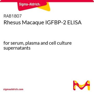 Rhesus Macaque IGFBP-2 ELISA for serum, plasma and cell culture supernatants