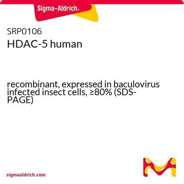 HDAC-5 human recombinant, expressed in baculovirus infected insect cells, &#8805;80% (SDS-PAGE)