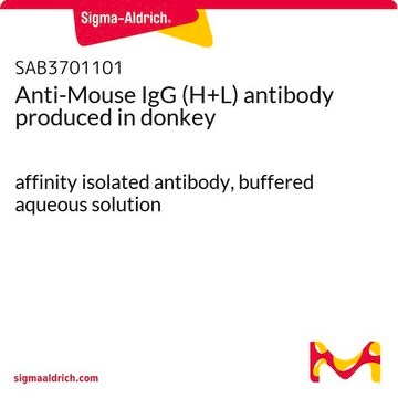 Anti-Mouse IgG (H+L) antibody produced in donkey affinity isolated antibody, buffered aqueous solution