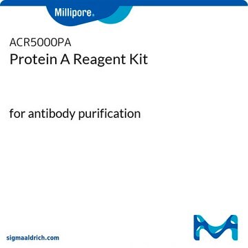 Protein A Reagent Kit for antibody purification