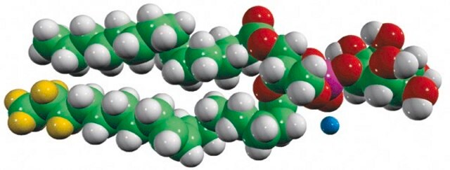 15:0-18:1-d7-PI Avanti Research&#8482; - A Croda Brand