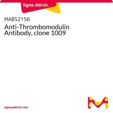 Anti-Thrombomodulin Antibody, clone 1009