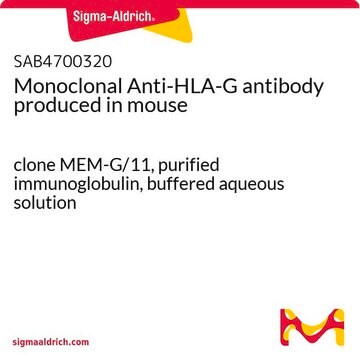 Monoclonal Anti-HLA-G antibody produced in mouse clone MEM-G/11, purified immunoglobulin, buffered aqueous solution