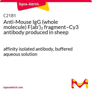 抗マウスIgG (全分子) F(ab&#8242;)2 フラグメント–Cy3 ヒツジ宿主抗体 affinity isolated antibody, buffered aqueous solution