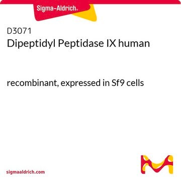 Dipeptidyl Peptidase IX human recombinant, expressed in Sf9 cells