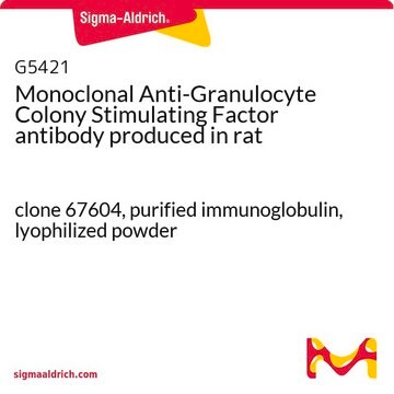 Monoclonal Anti-Granulocyte Colony Stimulating Factor antibody produced in rat clone 67604, purified immunoglobulin, lyophilized powder