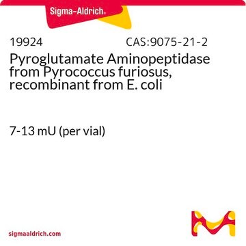 Pyroglutamate Aminopeptidase from Pyrococcus furiosus, recombinant from E. coli 7-13&#160;mU (per vial)