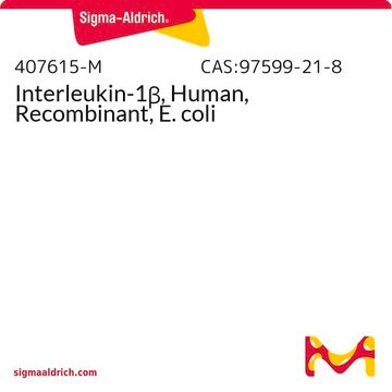 Interleukin-1&#946;, Human, Recombinant, E. coli