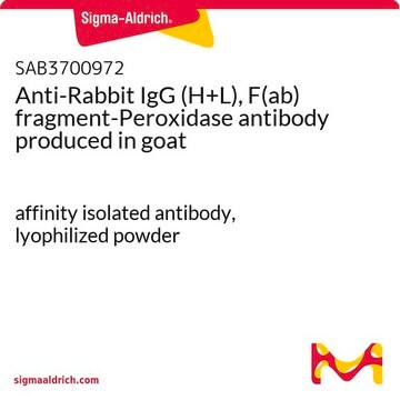 Anti-Rabbit IgG (H+L), F(ab) fragment-Peroxidase antibody produced in goat affinity isolated antibody, lyophilized powder