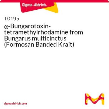 &#945;-Bungarotoxin-tetramethylrhodamine from Bungarus multicinctus (Formosan Banded Krait)