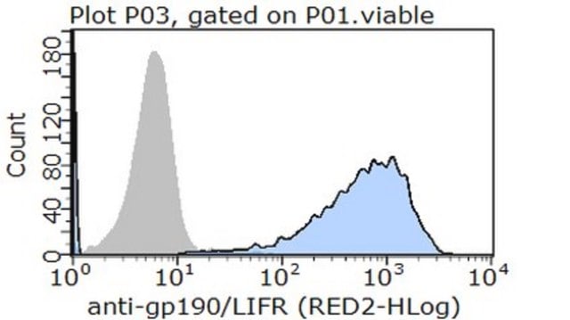 Anti-LIF Receptor, clone 1C7 (Azide Free) Antibody clone 1C7, from mouse